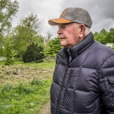 Heinz Brinkschulte sorgt sich um Pappeln und Hochwasserschutz. Foto: Ralf Krieger
