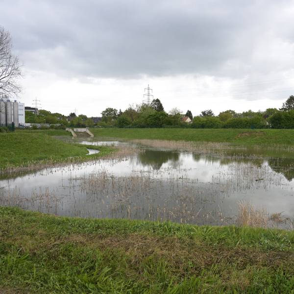 Das Hochwasserbecken der Kieppemühle wurde getestet.