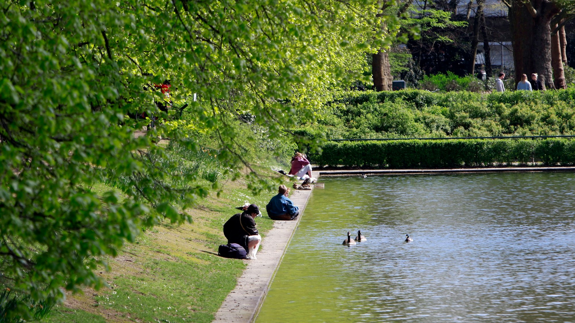 Frühling im Blücherpark. Im Blücherpark in Köln versuchte der 22-Jährige sich zu verstecken. (Symbolbild)