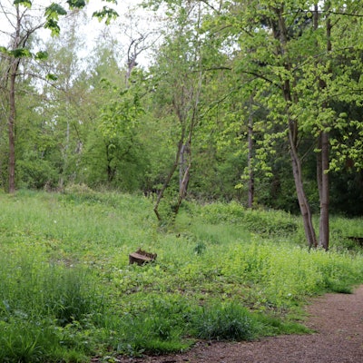 Ein Blick auf das Kurparkwäldchen in Bad Münstereifel.