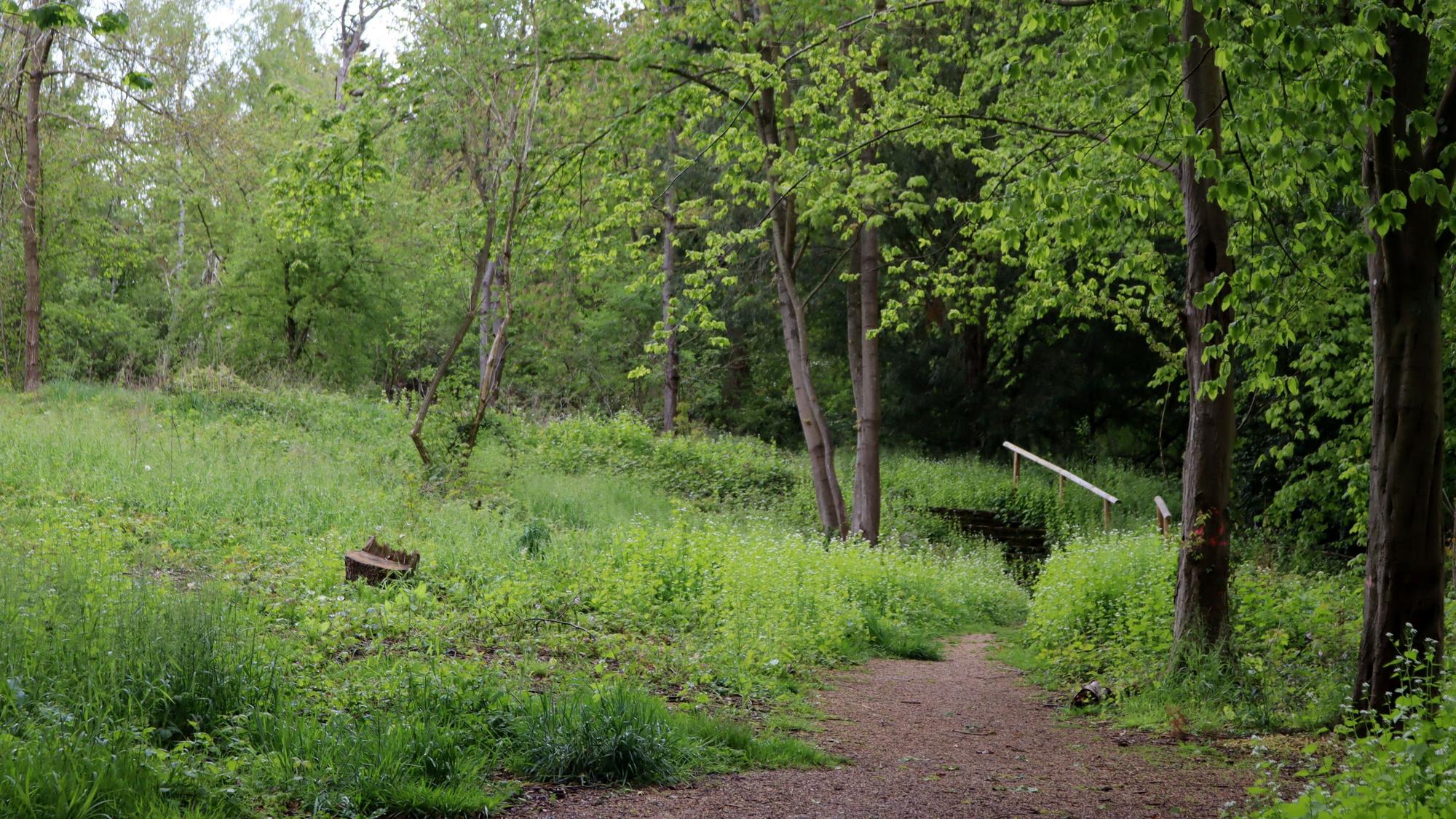 Ein Blick auf das Kurparkwäldchen in Bad Münstereifel.