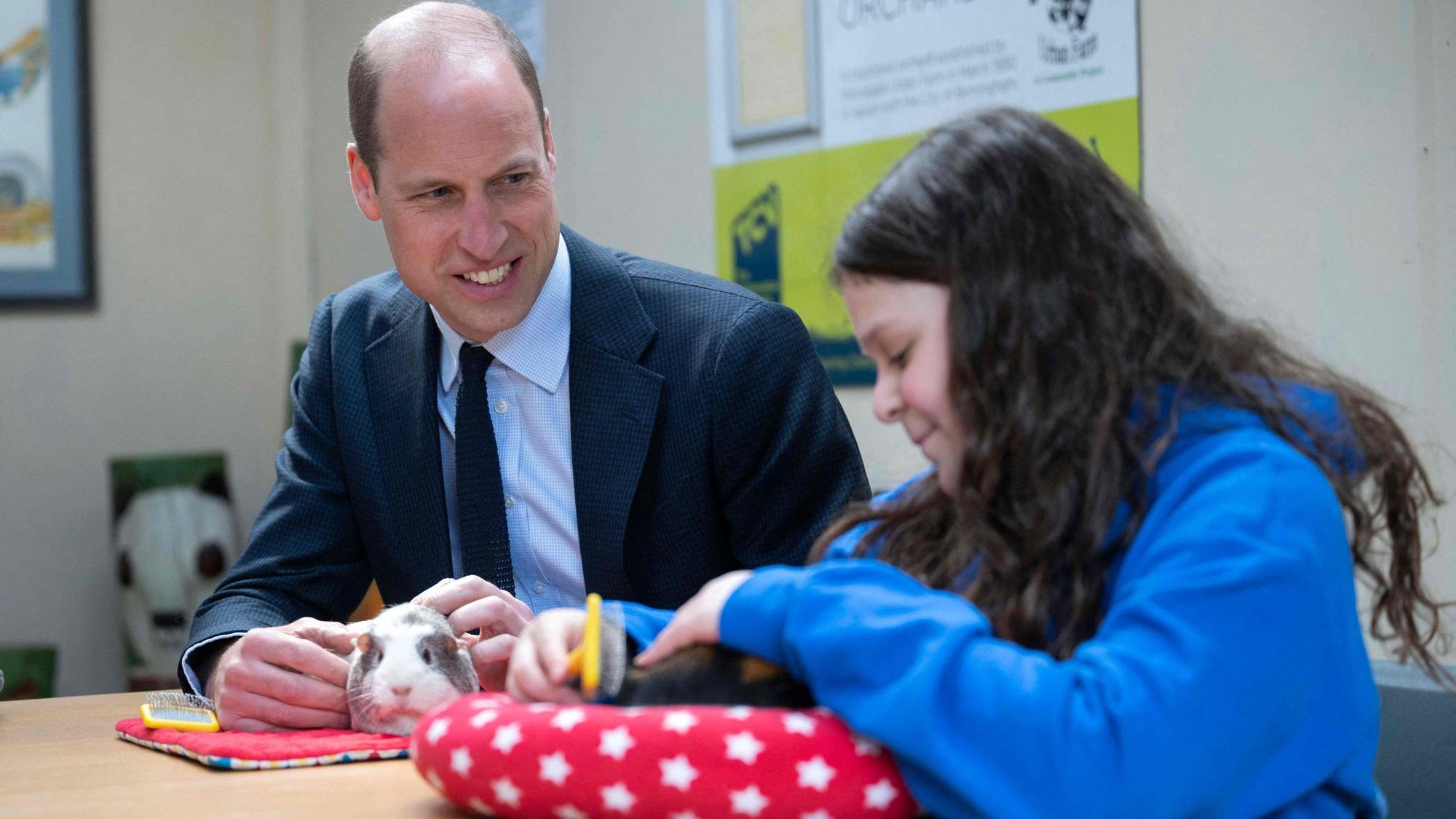 Prinz William krault das Meerschweinchen „Snowflake“.