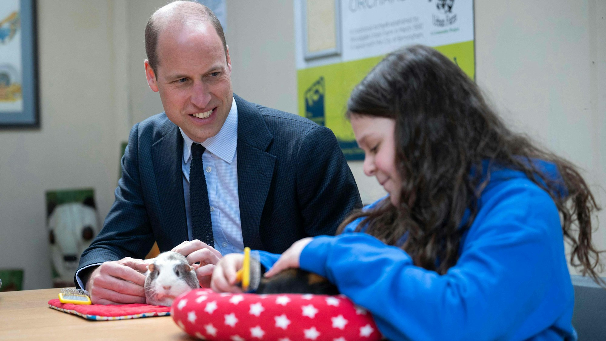 Prinz William krault das Meerschweinchen „Snowflake“.