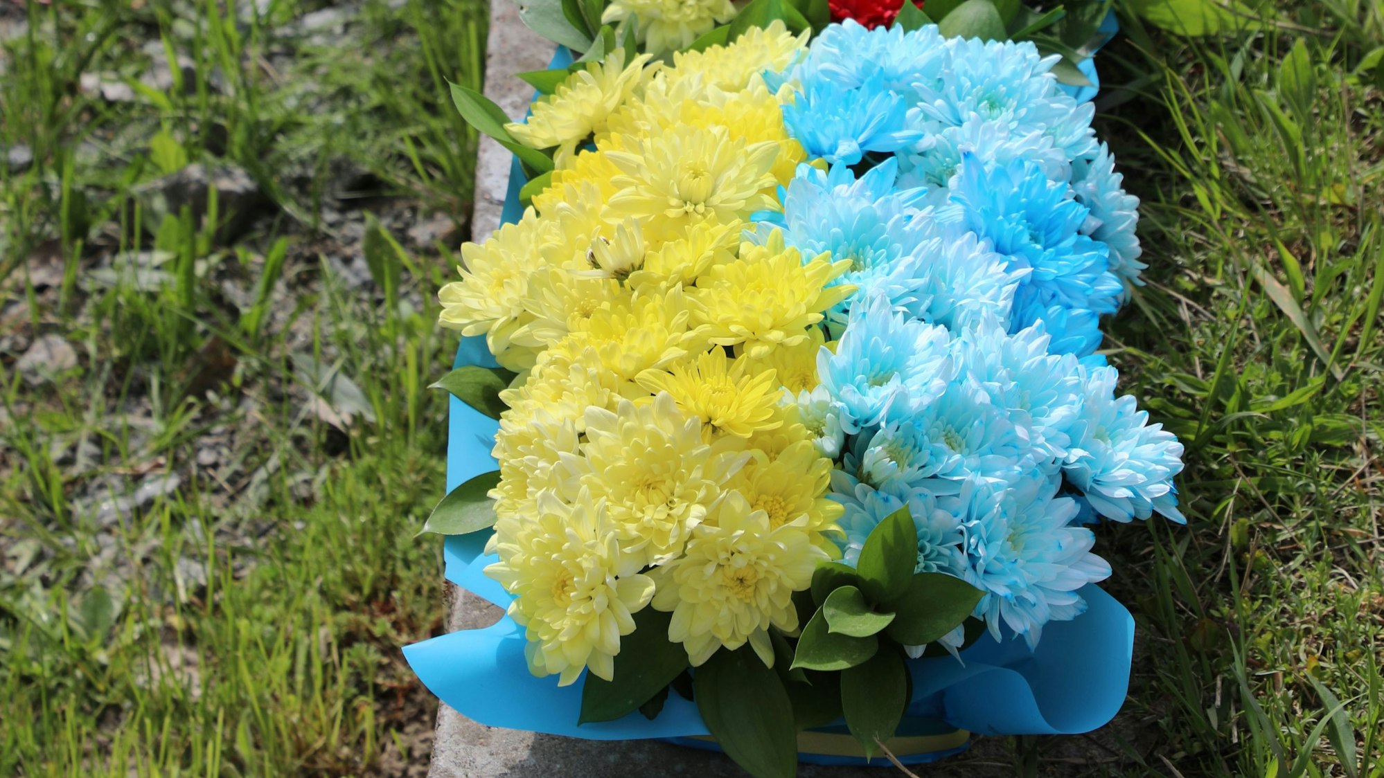 Ein blau-gelbes Blumengesteck steht auf einer Gartenmauer.