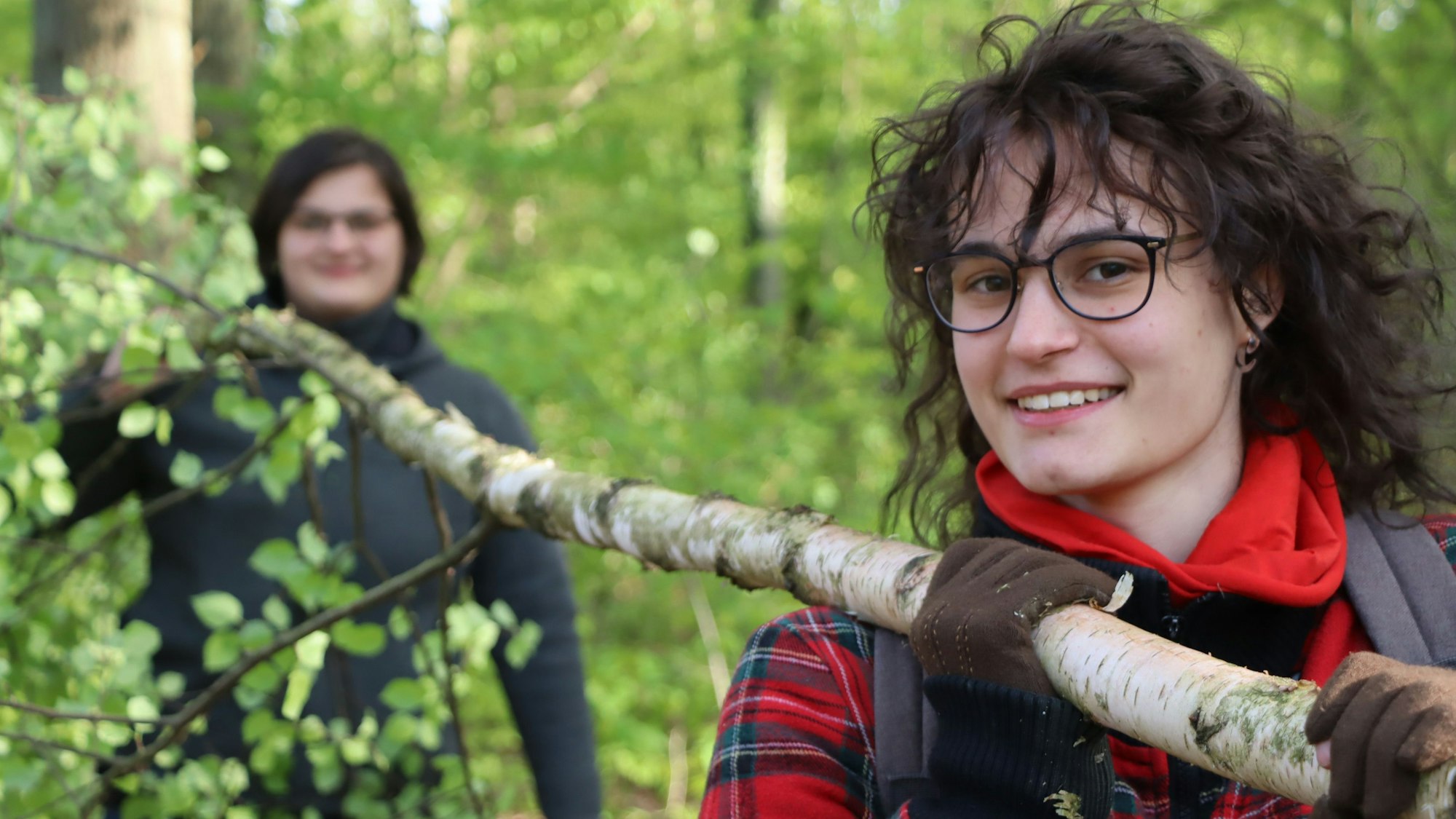 Im Schaltjahr setzen die jungen Frauen auch ihren Freunden einen Maibaum. Kurz vor dem 1. Mai waren die jungen Frauen des JGV Fischenich die Bäume im Wald holen.