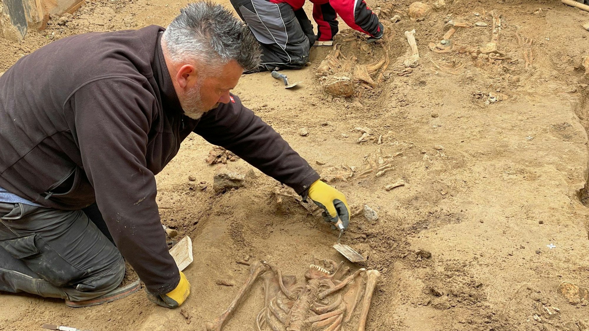 PRODUKTION - 26.04.2024, Nordrhein-Westfalen, Düsseldorf: Archäologen legen Skelette in der Baugrube des Neubaus des Gästehauses des Landtags frei.