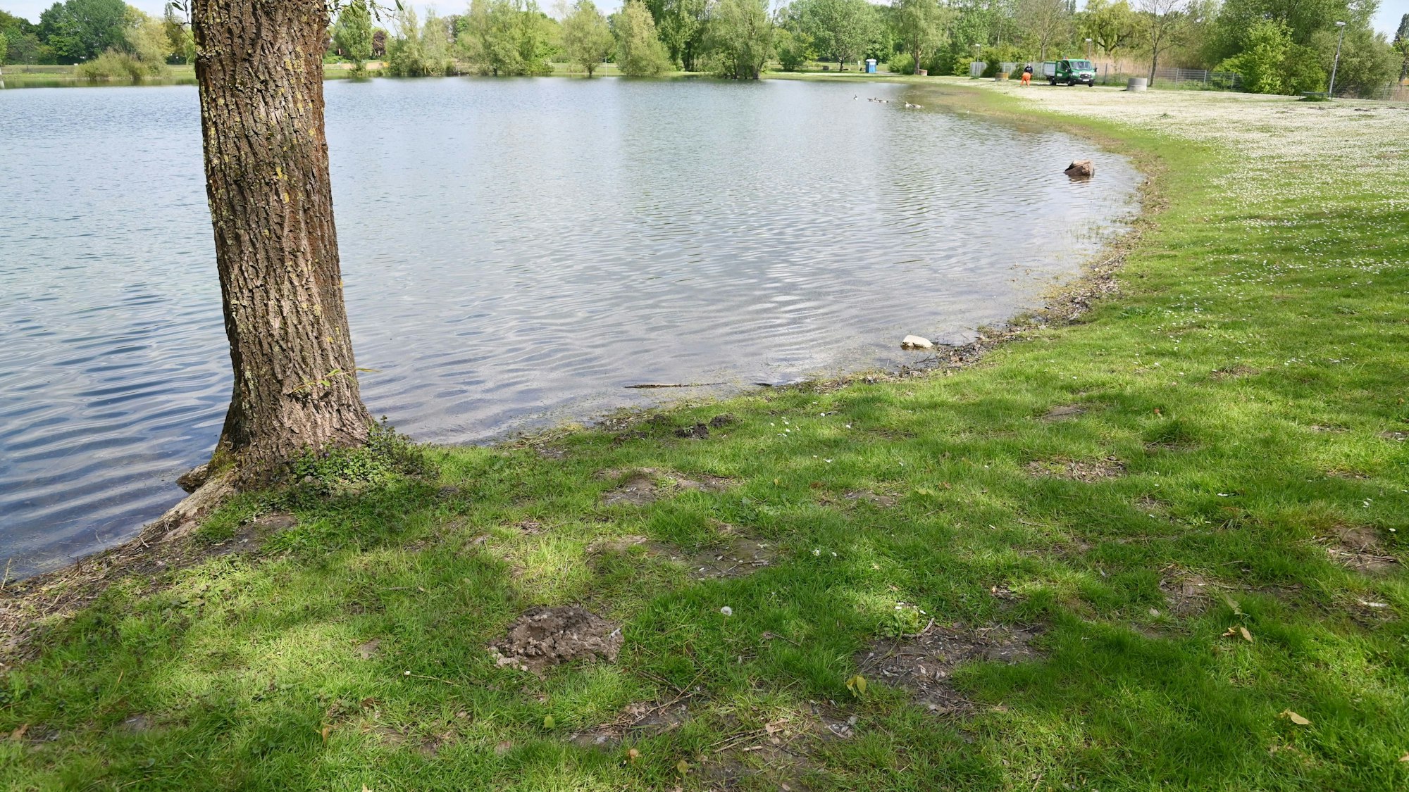 Schwimmen im Fühlinger See sollte ursprünglich ab dem 1. Mai an zwei Badestellen an den Teilseen 1 und See 7 erlaubt sein. Jetzt verzögert sich die Eröffnung.