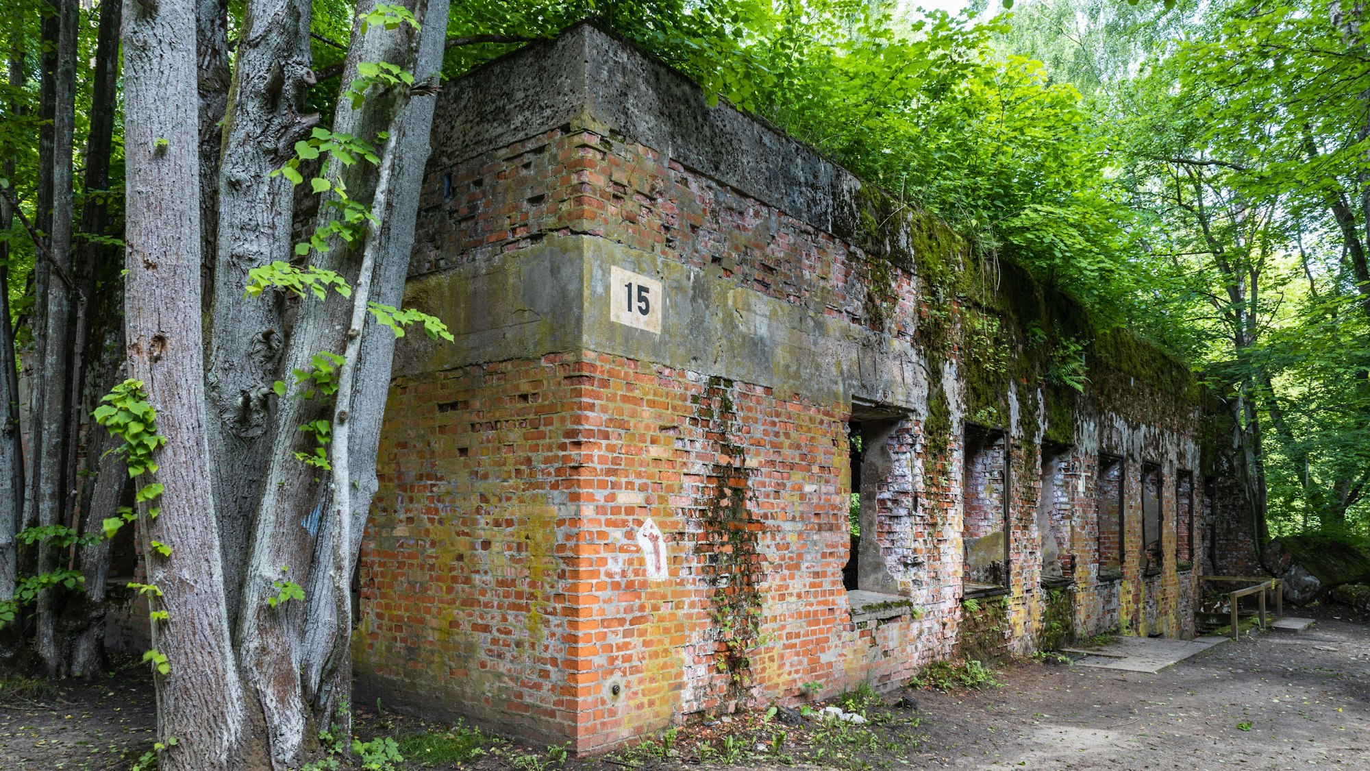 Heute nur noch eine Ruine, vor mehr als 80 Jahren wohnte hier Hermann Göring, wenn er sich auf der Wolfsschanze aufhielt.