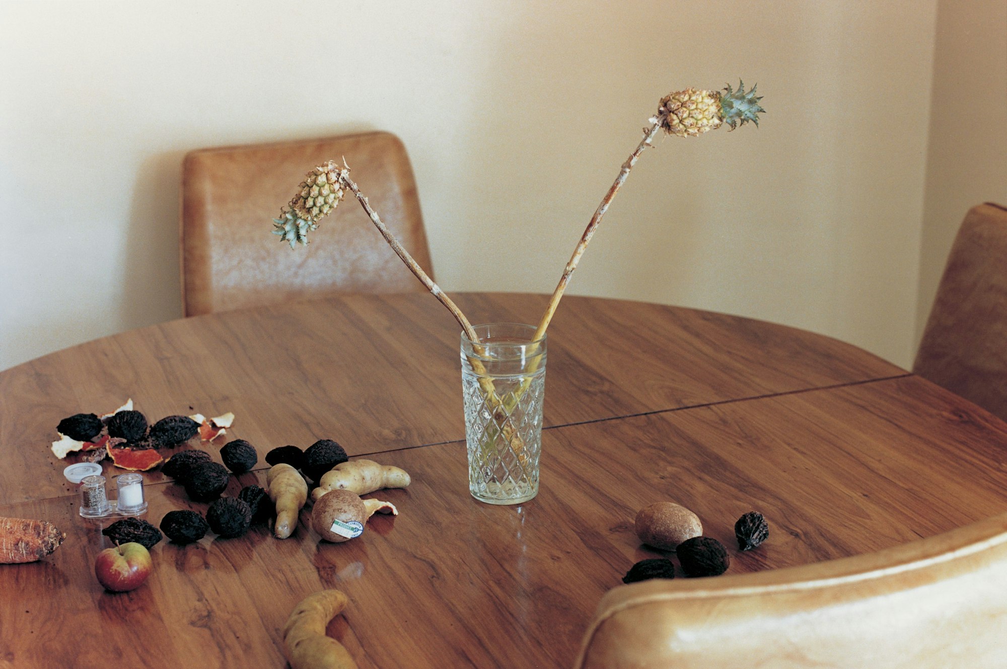 Auf einem Tisch steht eine kleine Vase mit zwei Mini-Ananas an langen Stängeln.