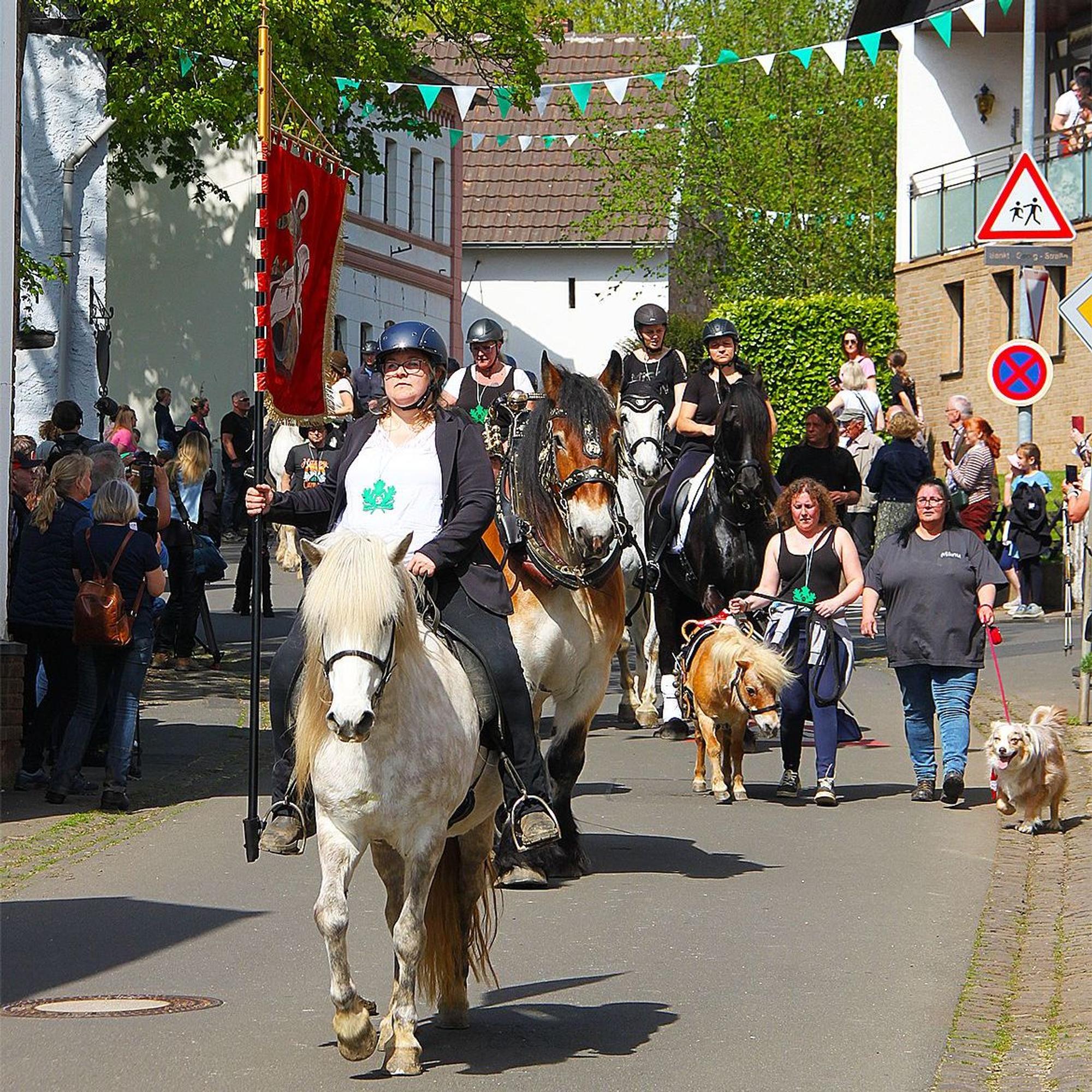 Judith Daniels reitet auf einem weißen Pferd durch das mit Wimpeln geschmückte Kallmuth, hinter ihr die ersten Teilnehmer der Prozession. Am Straßenrand schauen Leute zu.