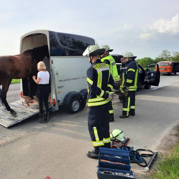Ein Pferd war in seinem Autohänger nach einem Bremsmanöver ausgerutscht.
