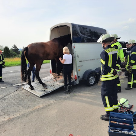 Ein Pferd war in seinem Autohänger nach einem Bremsmanöver ausgerutscht.