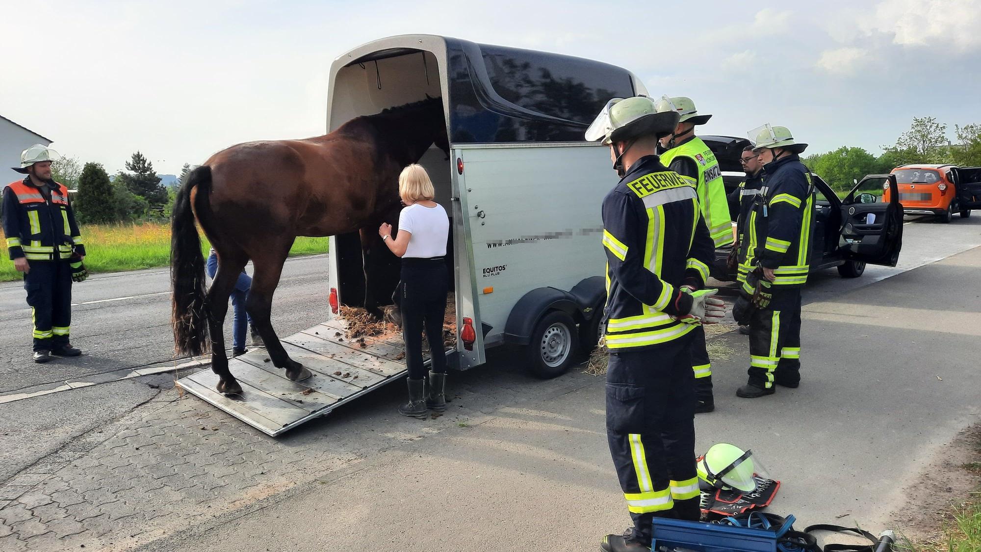 Ein Pferd war in seinem Autohänger nach einem Bremsmanöver ausgerutscht.