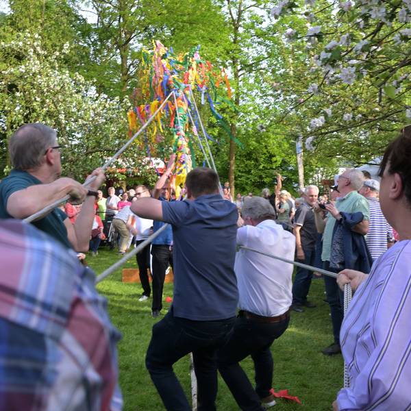 Refrather Maifest des Bürger- und Heimatverein, Aufrichten des Maibaums