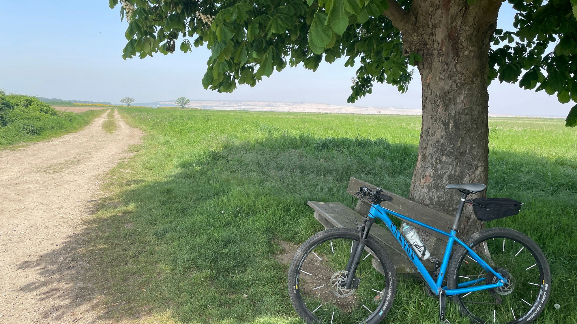 Eine Bank unter einer Kastanie lädt zur Pause ein.