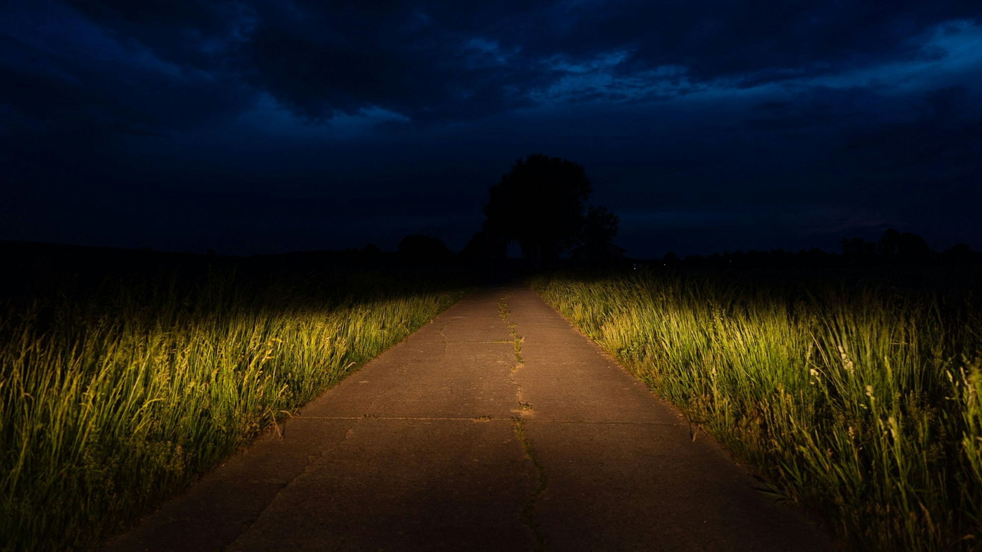 Eine dunkle Straße (hier ein Symbolfoto) sowie die Umstände des Baumtransports haben mutmaßlich eine Rolle bei dem Unfall gespielt.
