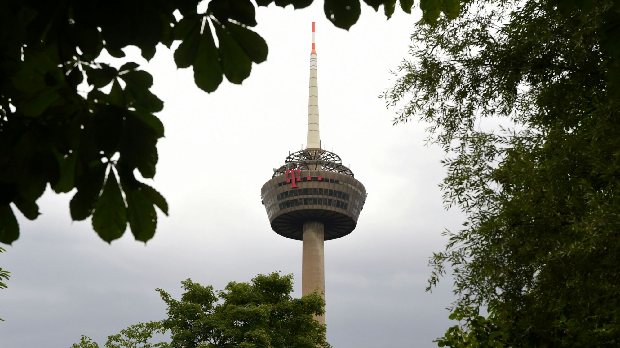 Der Super Natur Markt von Alnatura zieht in die Nähe des Stadtgartens mit Blick auf den Colonius Fernsehturm (Symbolbild)