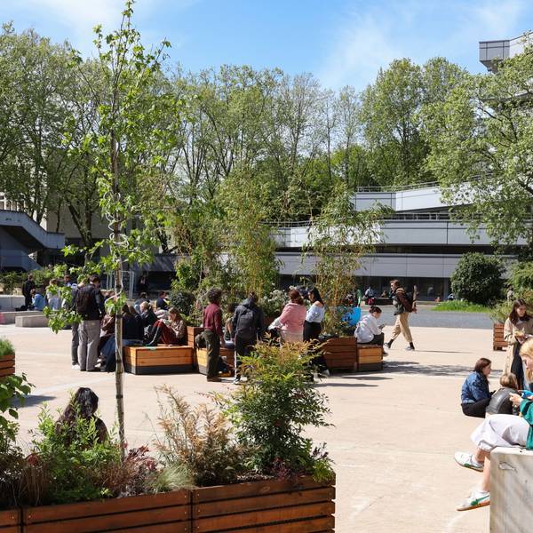 Als Interim stehen aktuell Pflanzkübel und Bänke auf dem Albertus-Magnus-Platz vor dem Philosophikum: Auch langfristig sollen Studierende hier unter Bäumen sitzen.