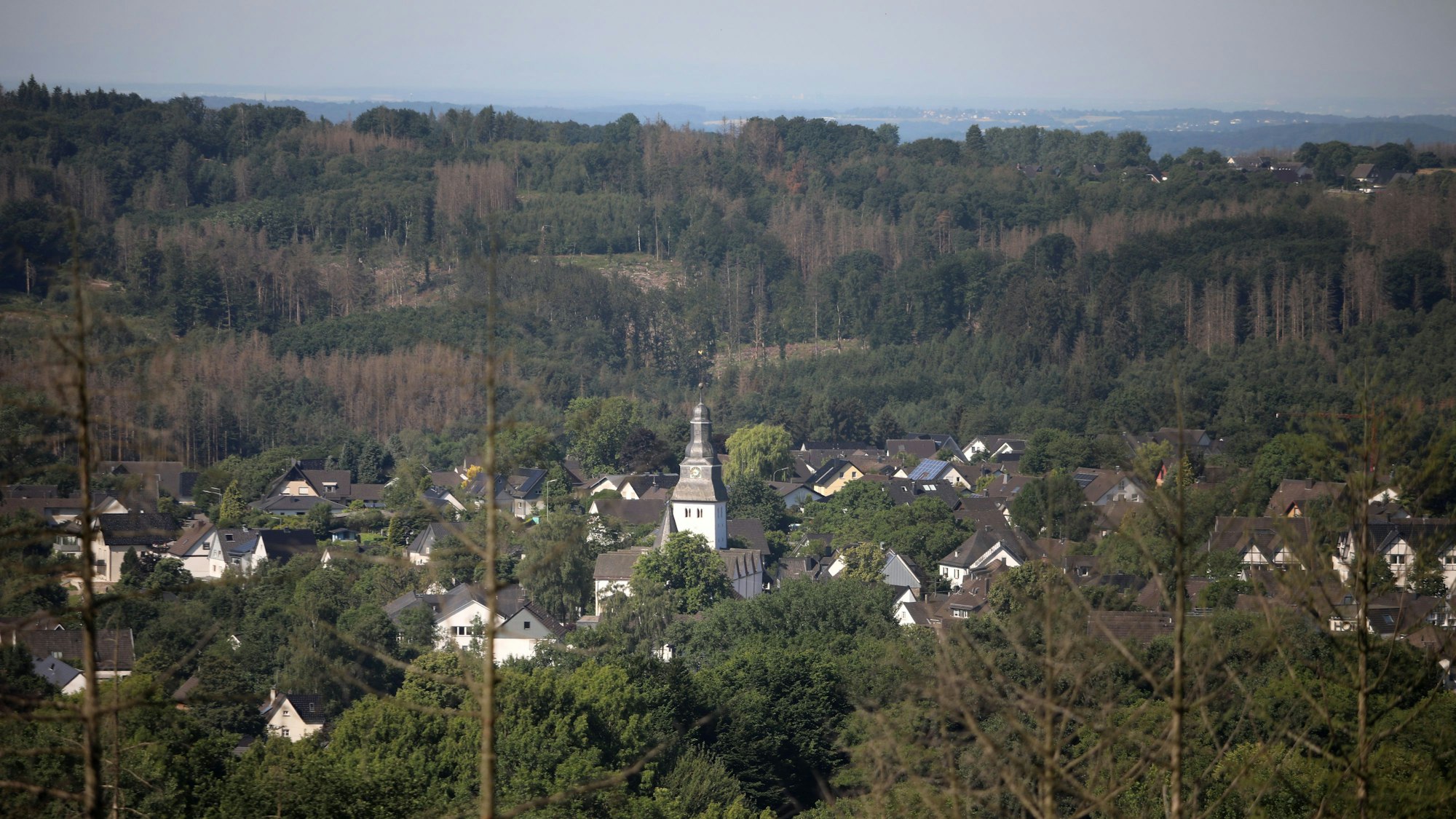 Ausblick während der Wanderung auf Ort mit Kirchturm sowie Bäume