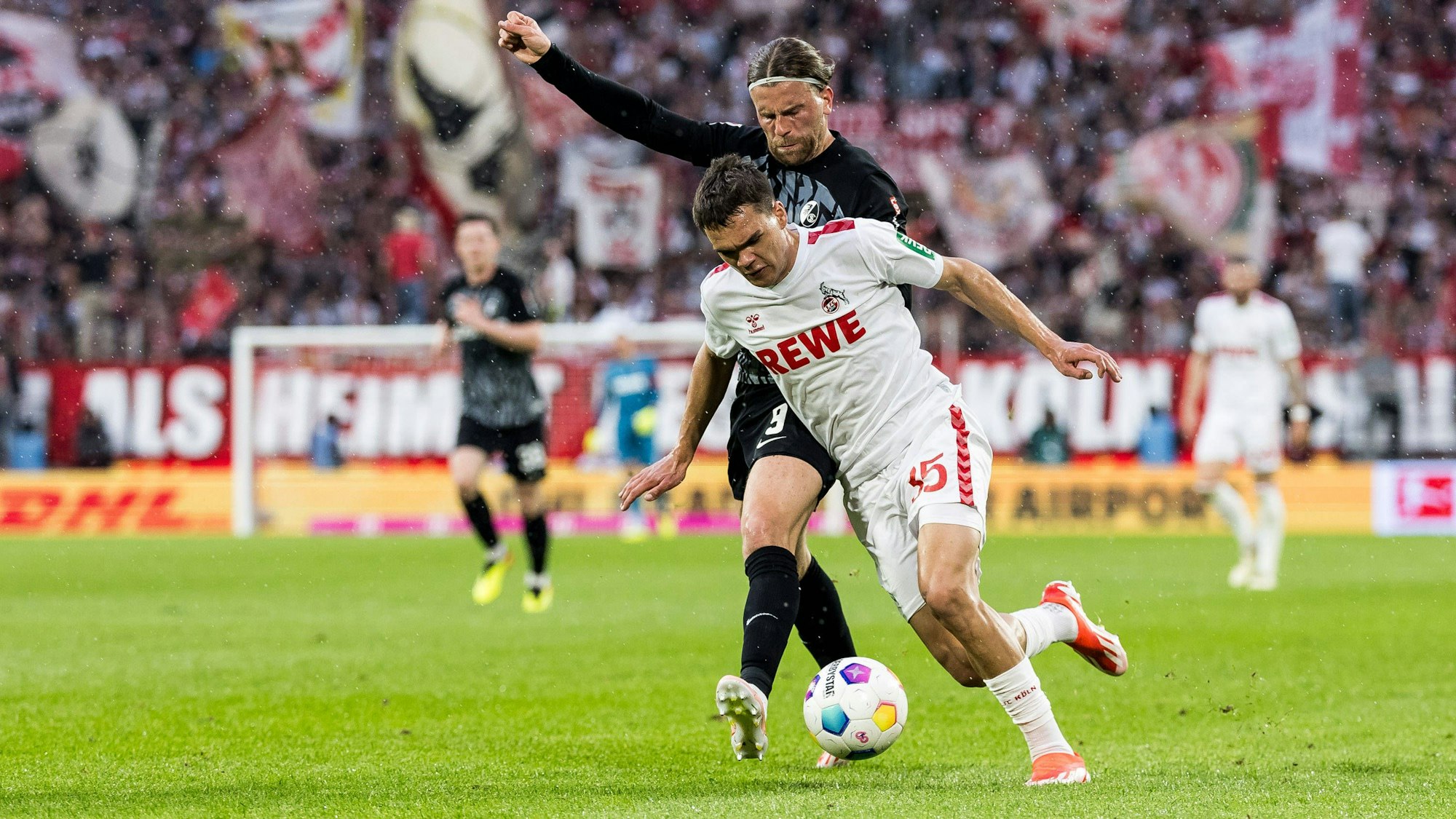 Finkgräfe gegen Höler