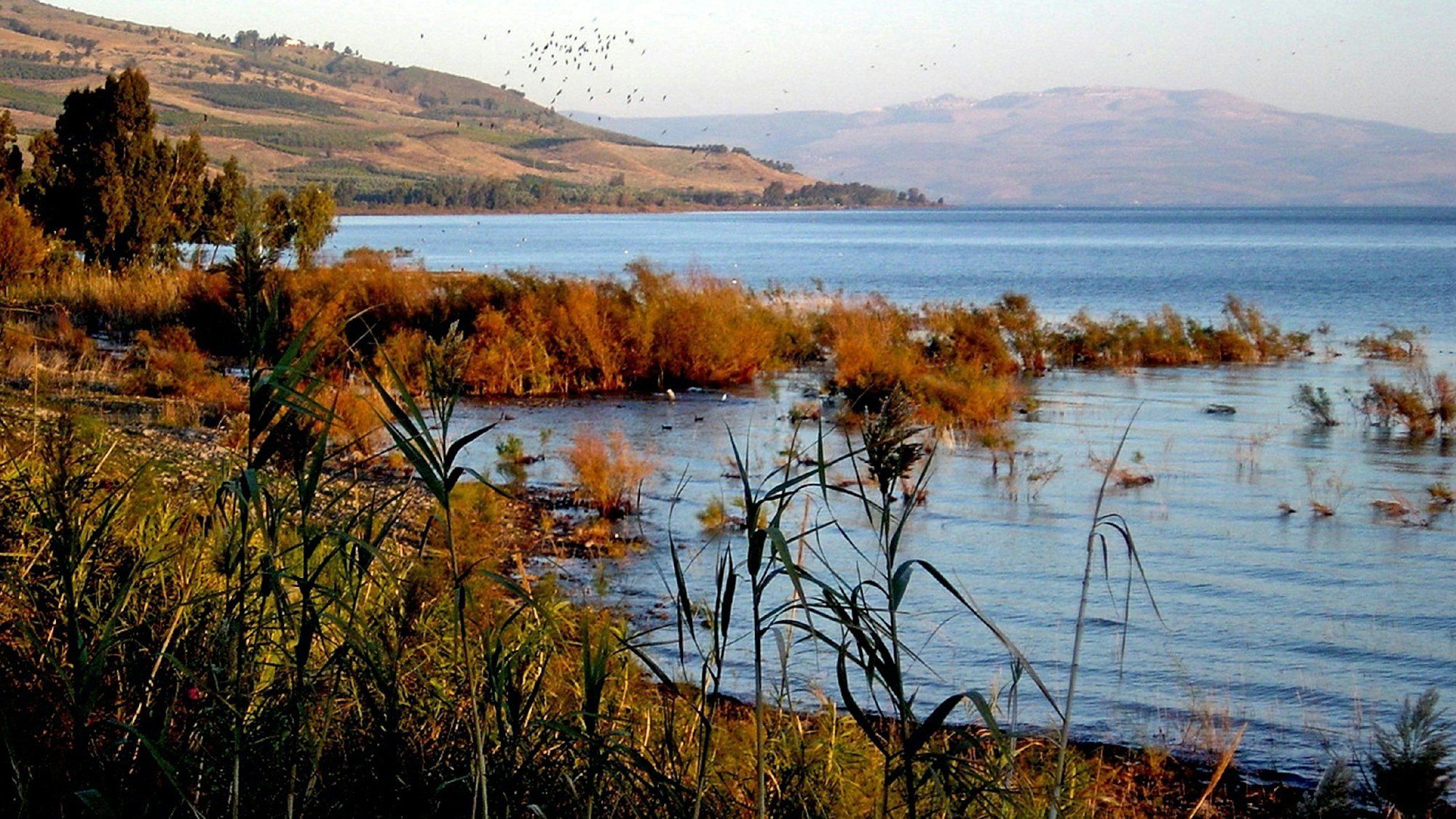 Aufnahme des See Genezareth (Archivbild)
