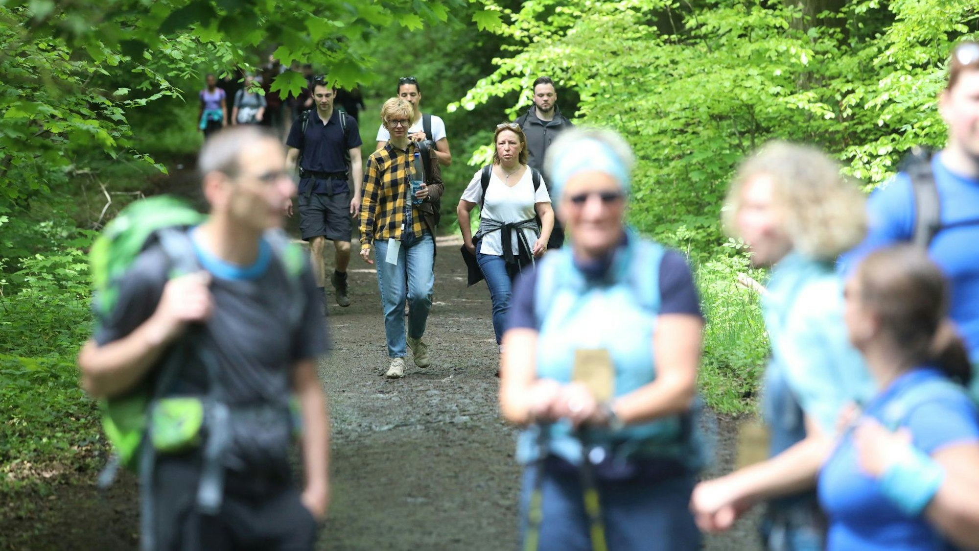 Auf der Suche nach dem nächsten Stempel: Wanderer im Bereich Einkehrhaus Waidmannsruh am Nonnenstromberg.