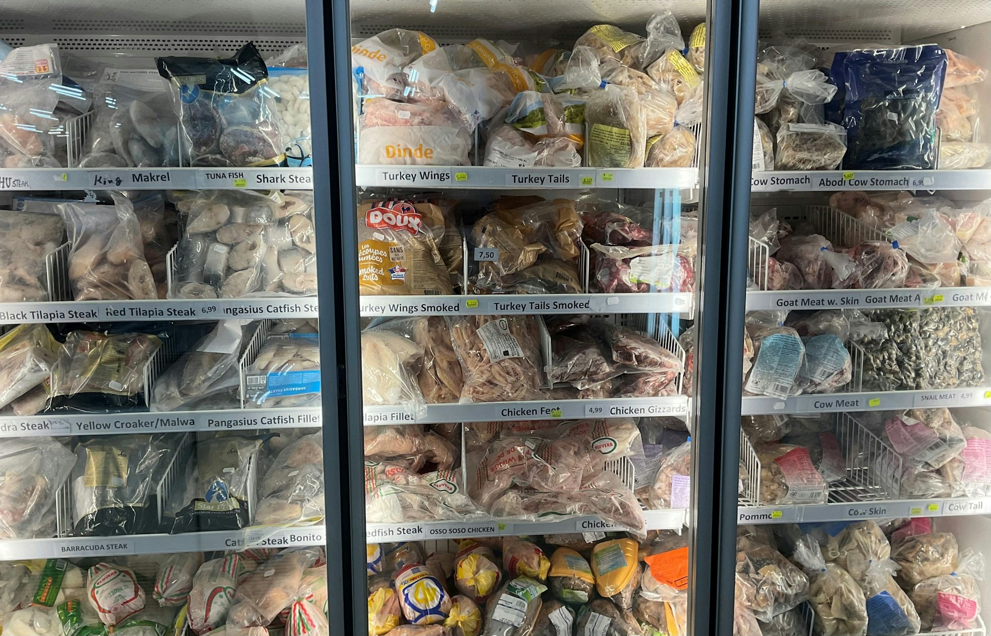 Exotische Fisch- und Fleisch-Tiefkühlware