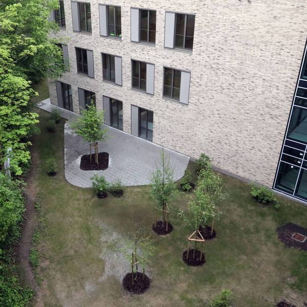 Ein neues Schulgebäude mit angrenzendem Park