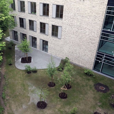 Ein neues Schulgebäude mit angrenzendem Park