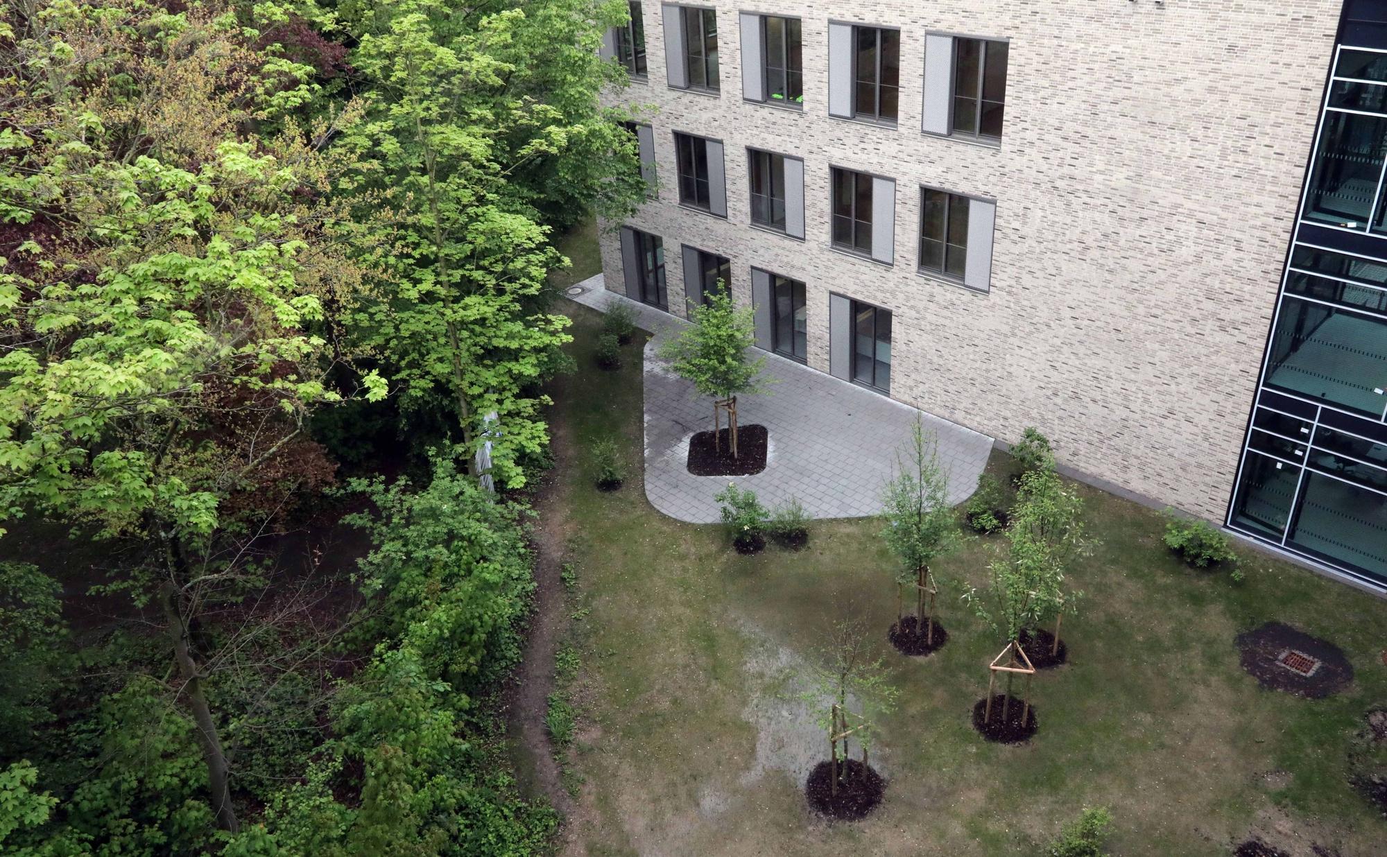 Ein neues Schulgebäude mit angrenzendem Park