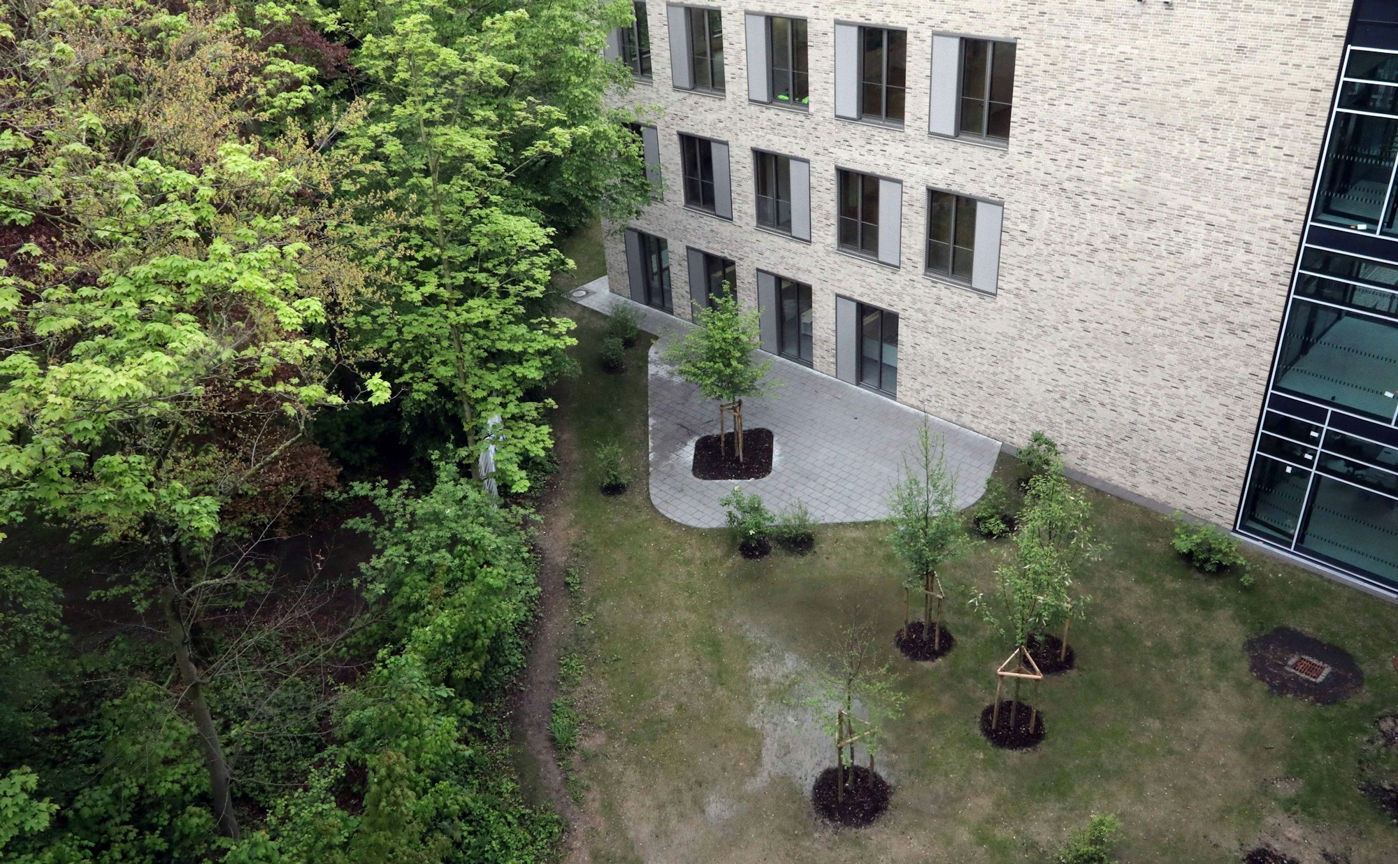 Ein neues Schulgebäude mit angrenzendem Park