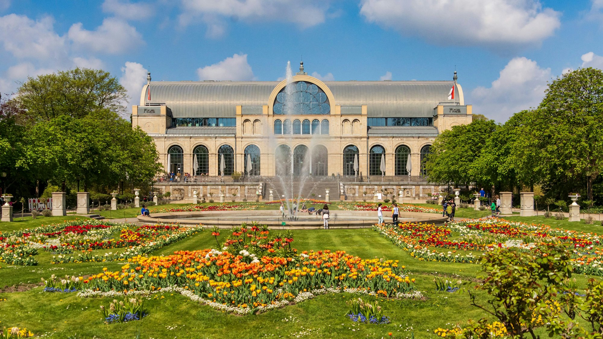 Die Flora bei Sonnenschein
