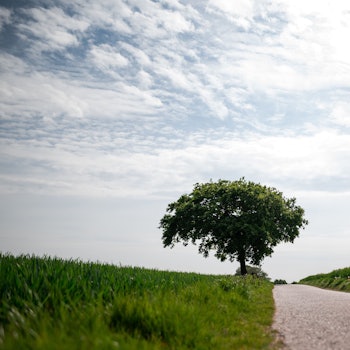 Eine Person fährt Fahrrad.