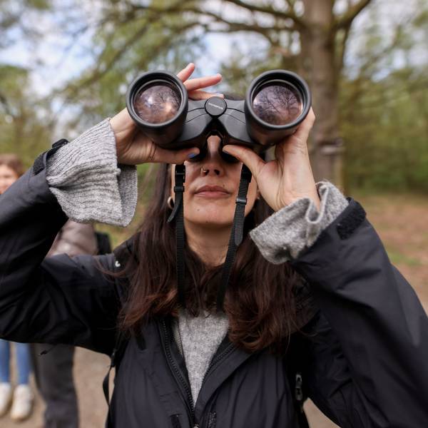 Im Vordergrund ist Jana Romero mit Fernglas zu sehen, verschwommen dahinter Michelle Etienne und Volker Brinkmann.