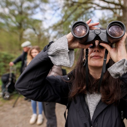 Im Vordergrund ist Jana Romero mit Fernglas zu sehen, verschwommen dahinter Michelle Etienne und Volker Brinkmann.
