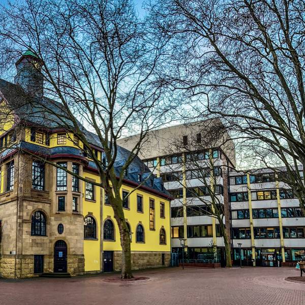 Auf dem Bild ist das Rathaus zu sehen.
