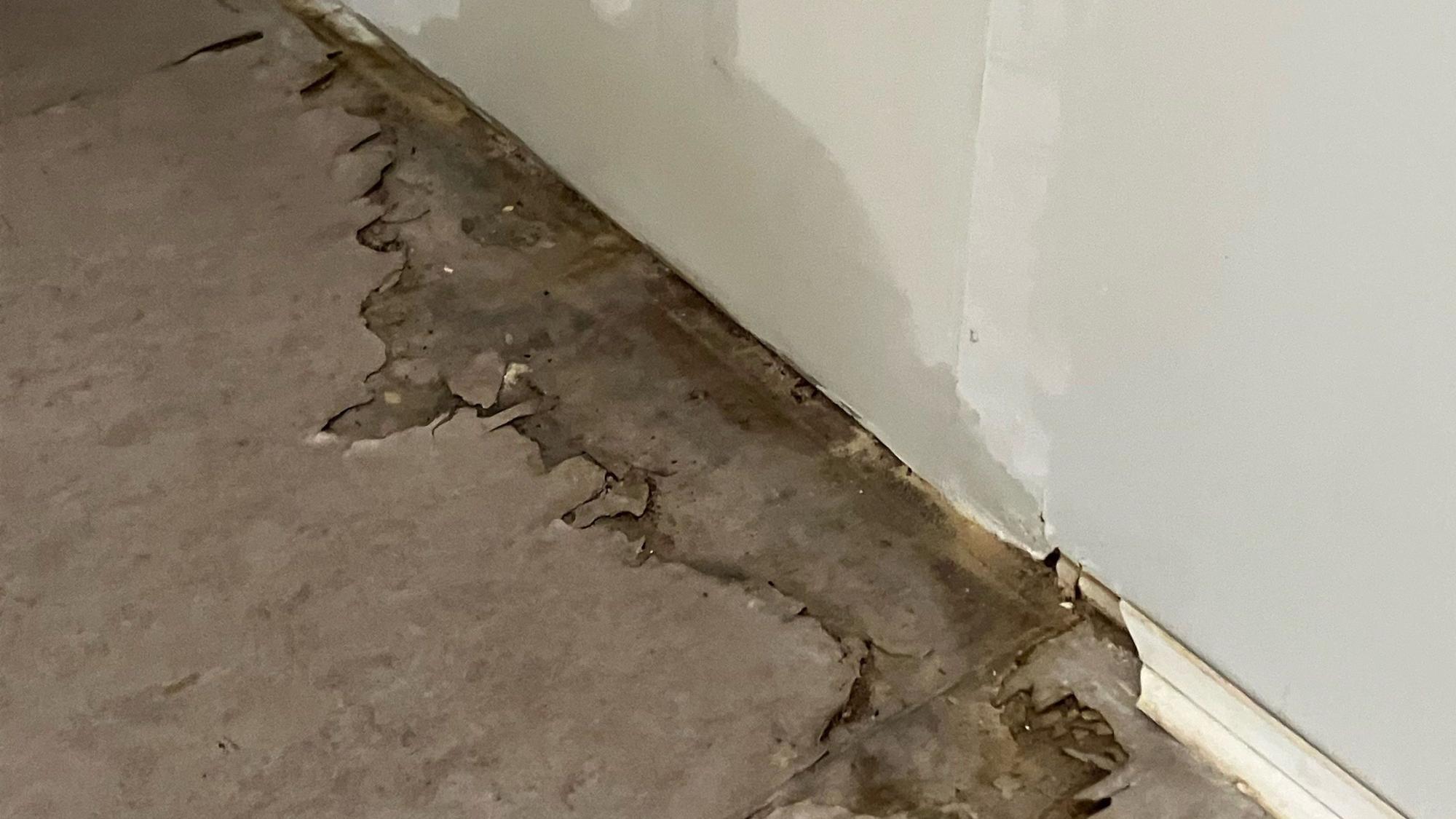Im Treppenhaus des Conterbaus C1 gibt es massive Feuchtigkeitsschäden in Boden und Wand.