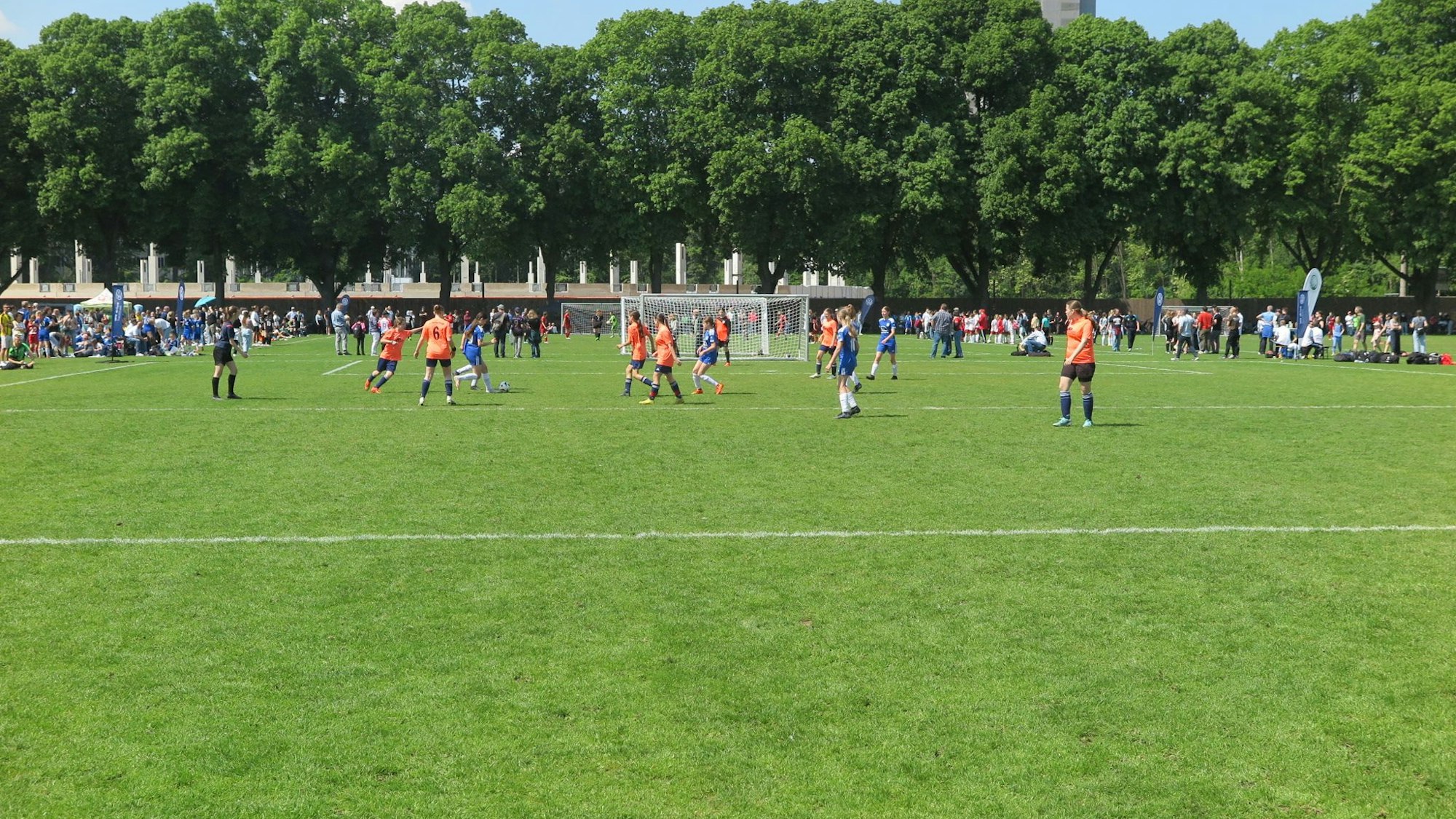 Junge Fußballerinnen spielen auf einer Wiese Fußball.