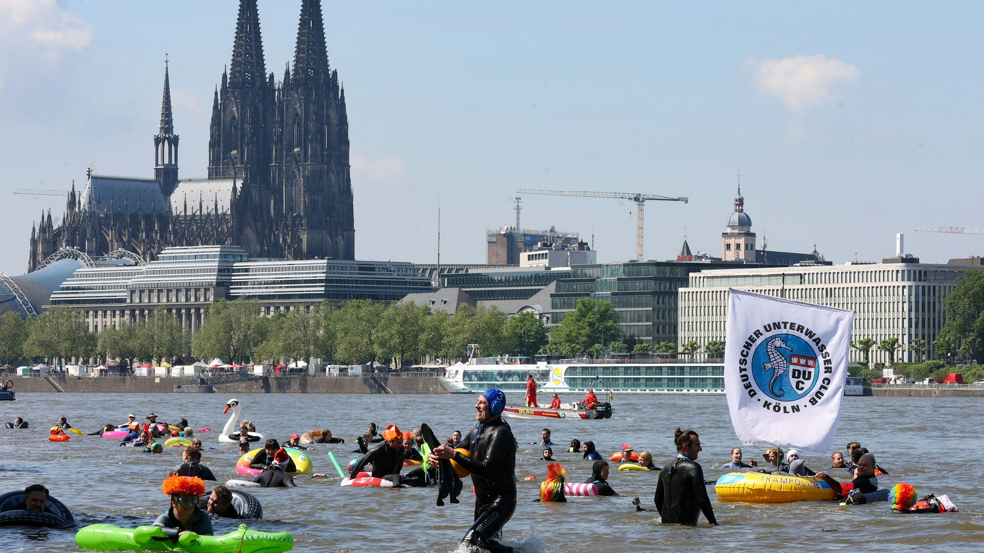 Menschen schwimmen im Rhein, im Hintergrund der Kölner Dom