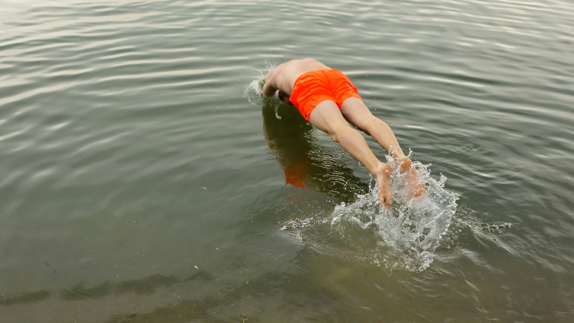 Ein Mann springt mit Kopfsprung in den Fühlinger See.