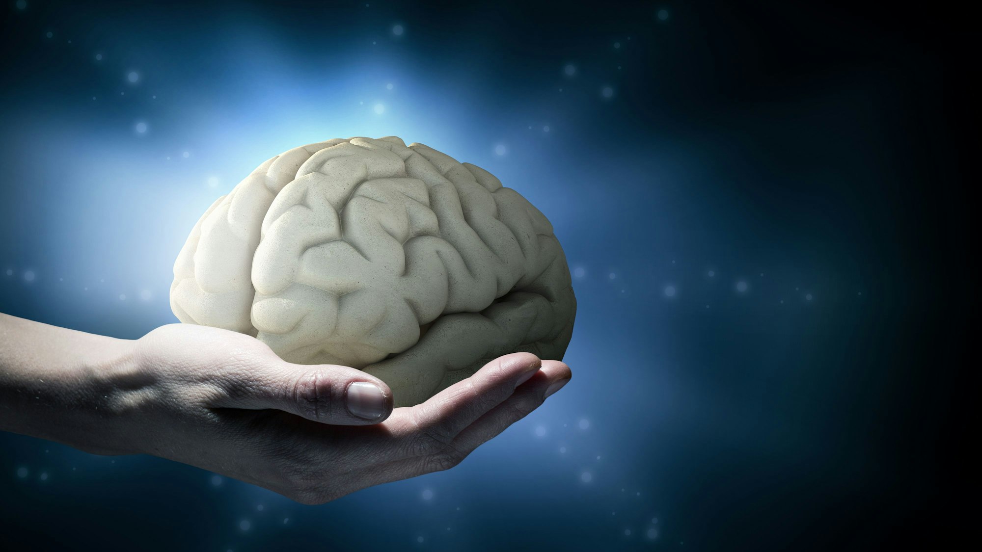 Illustration einer Hand, das ein Gehirn hält