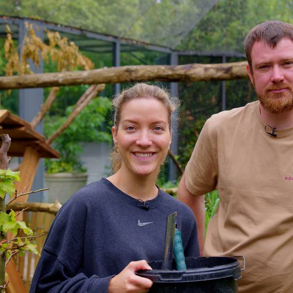 KStA-Volontärin Elena Stickelmann und Tierpfleger und Revierleiter Christoph Kiesow stehen im Schwarzzügelibis-Gehege des Kölner Zoos. Foto von Christian Mack
