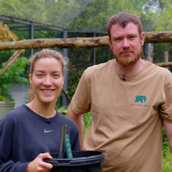 KStA-Volontärin Elena Stickelmann und Tierpfleger und Revierleiter Christoph Kiesow stehen im Schwarzzügelibis-Gehege des Kölner Zoos. Foto von Christian Mack