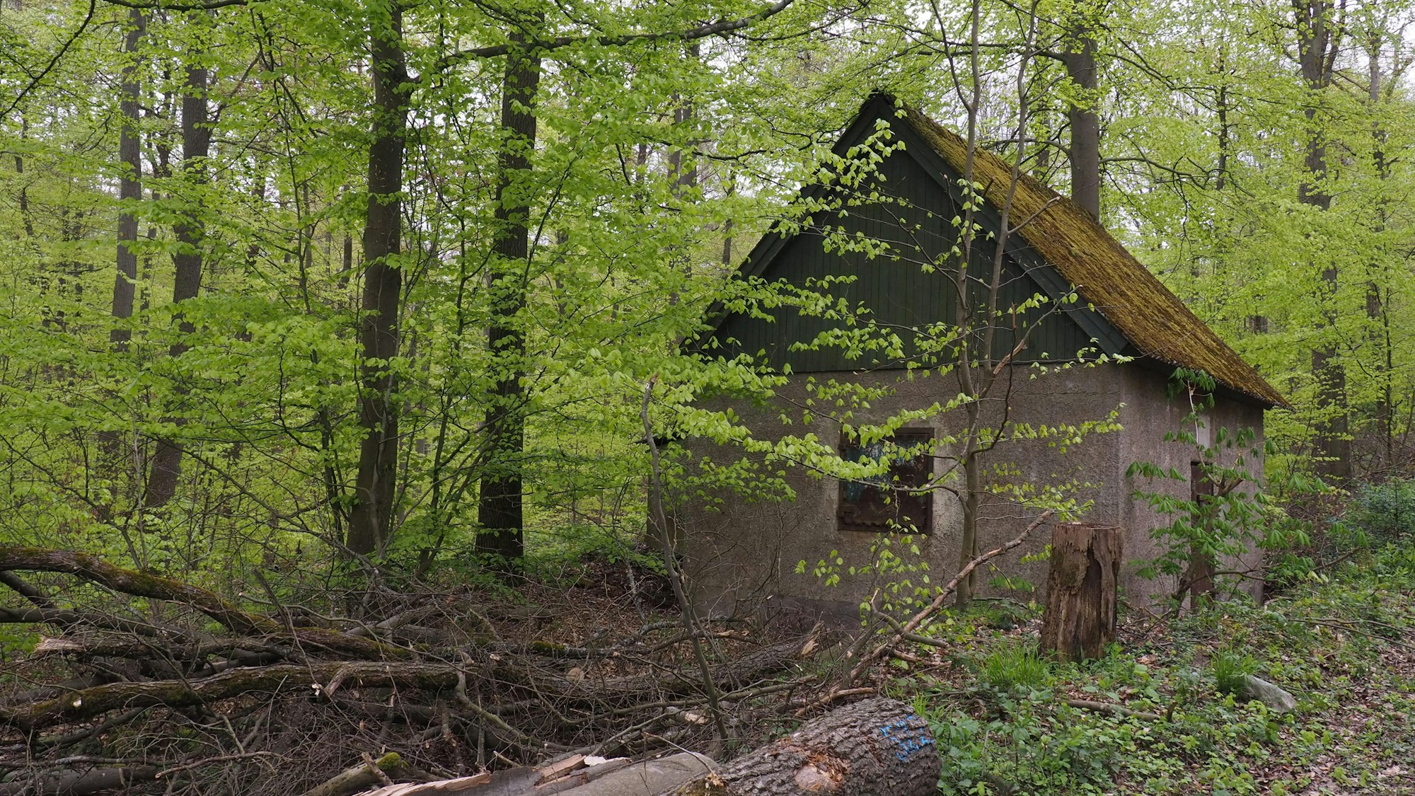 Blick auf ein altes Haus mit vermoostem Dach. Das war im Zweiten Weltkrieg ein Splitterschutzbunker.