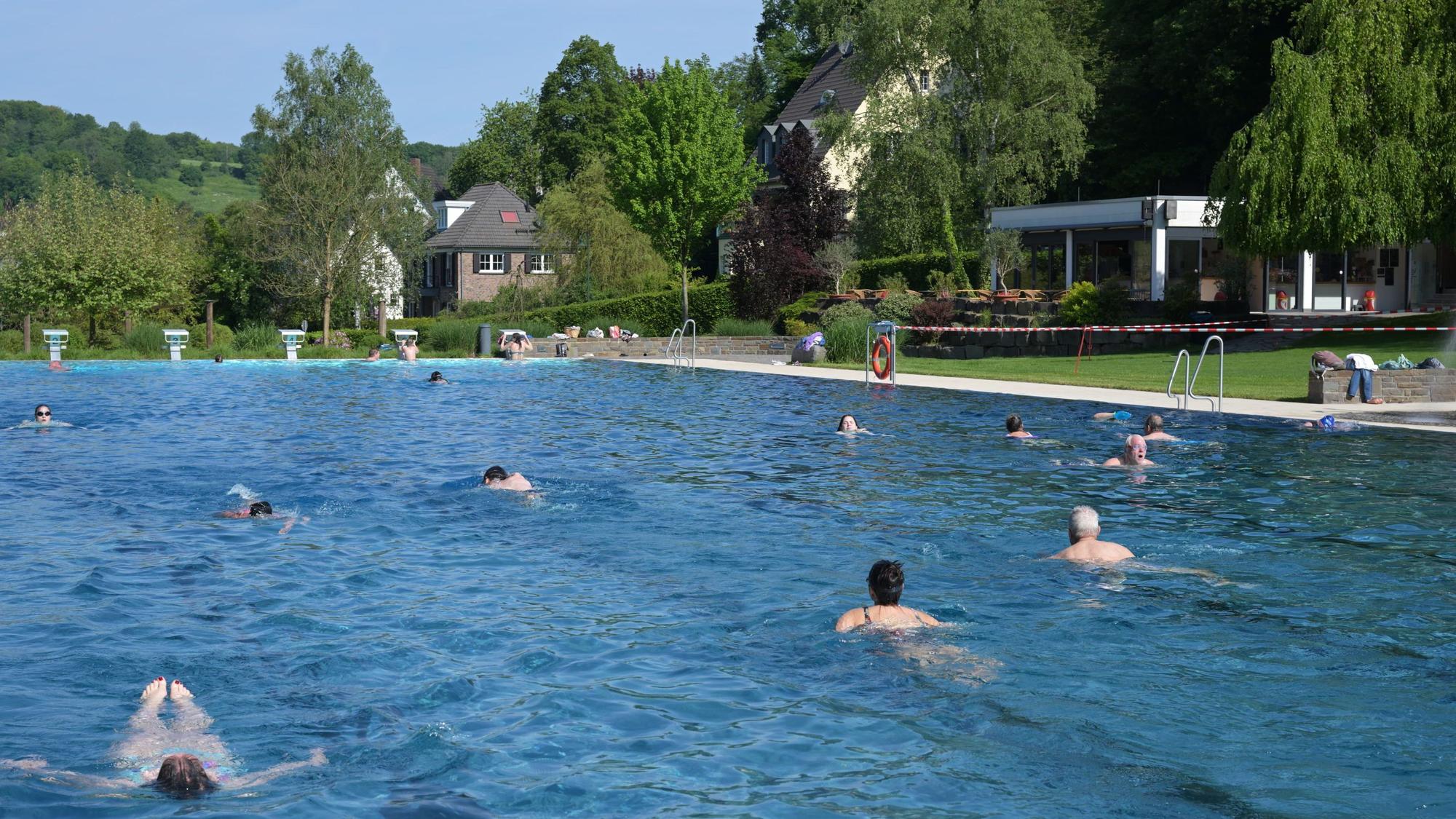 Mehrere Schwimmer ziehen ihre Bahnen im Schwimmbecken eines Freibads.