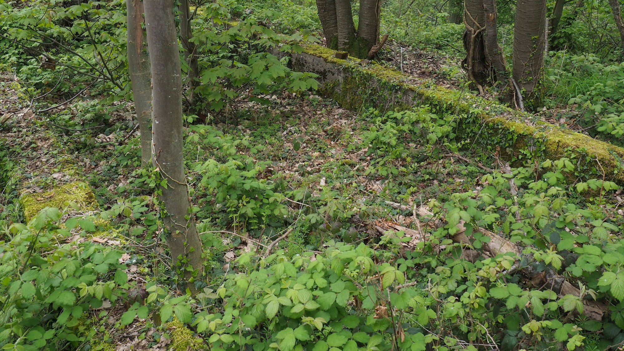 Ein rechteckiges Betonfundament ist noch am Boden zu erkennen.
