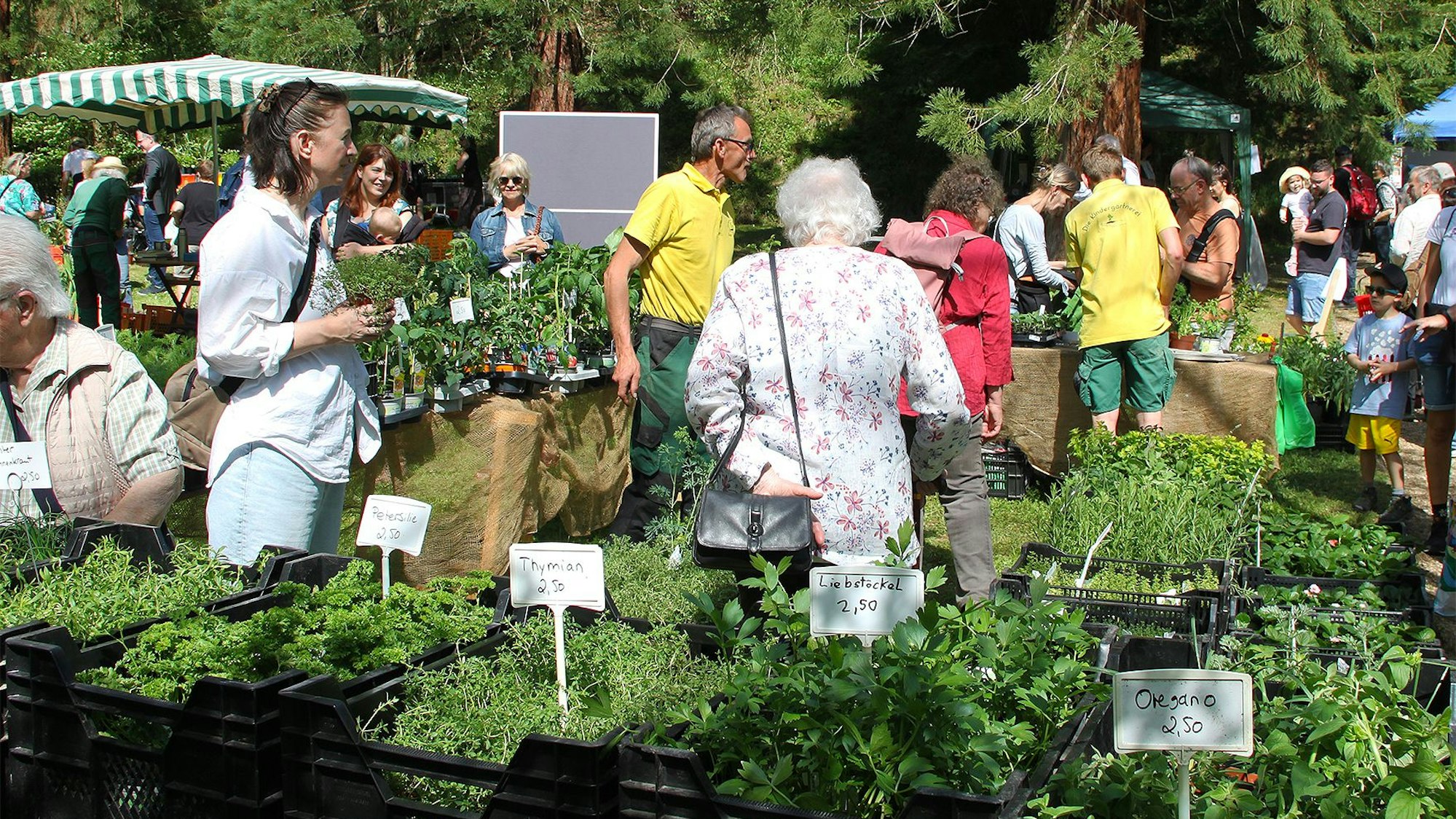 Blick auf zahlreiche Kisten mit Kräutern und Besuchern des Aktionstags.