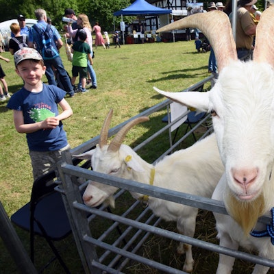 Blick auf einen Jungen vor einem Ziegengehege