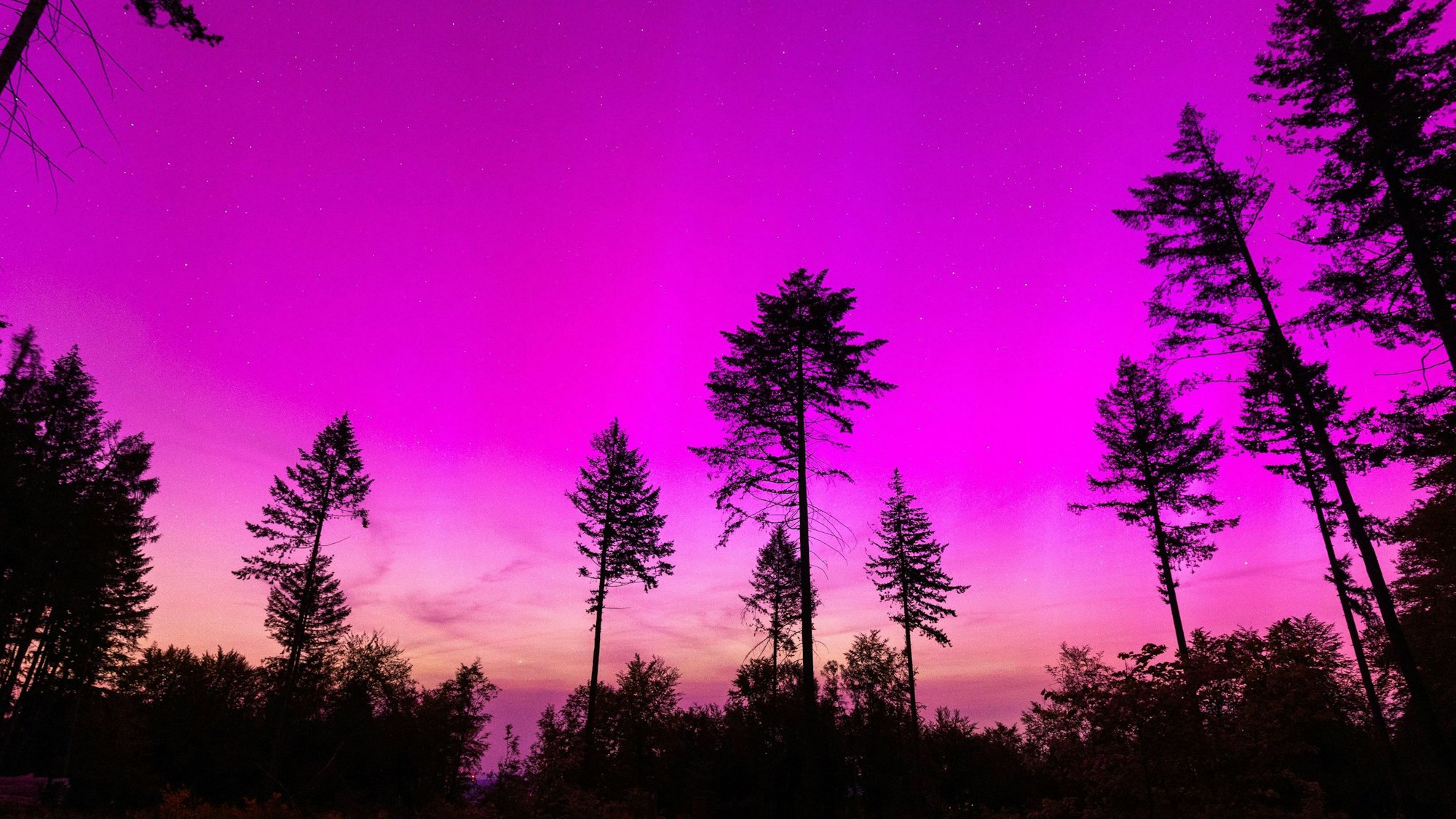 Polarlichter sind über dem hessischen Hochtaunuskreis in grellem Pink und in grellem Orange zu sehen. Die Chance auf Polarlichter ist durch einen extremen Sonnensturm über Deutschland derzeit deutlich erhöht.