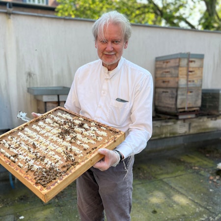 Imker Ralf Heipmann zeigt das Dach des Honigraums, an dem sich Bienen befinden.
